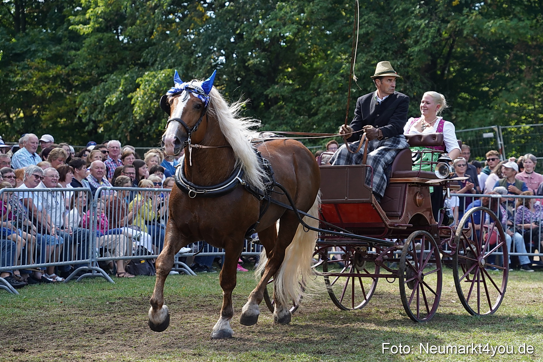 Pferde und Fohlenschau 2022 0242 